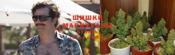 mix Белокуриха