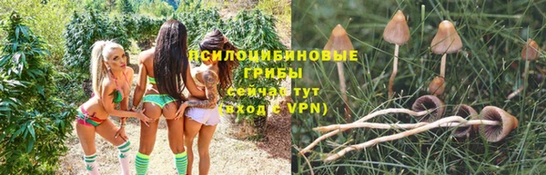 прущая мука Белоозёрский