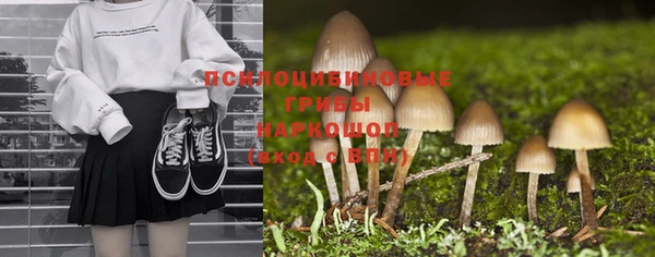 mix Белокуриха