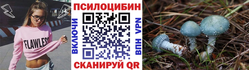 Псилоцибиновые грибы прущие грибы  Мглин 